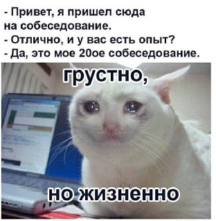 Мем: грустный кот у ноутбука, выглядит плачущим; надпись про провал собеседования, передаёт эмоции соискателя.