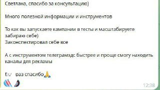 Скриншот чата с отзывом клиента о консультации: короткие сообщения благодарности, упоминание полезных инструментов и выводов по проекту.