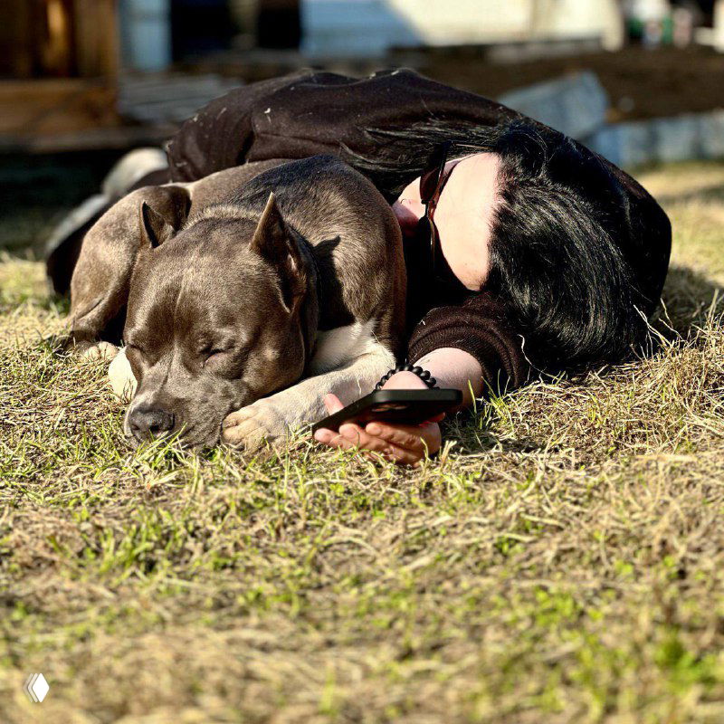 На фото человек лежит на траве, прижимаясь к крупной тёмной собаке; солнечная сцена на открытом воздухе, ощущение уюта и привязанности