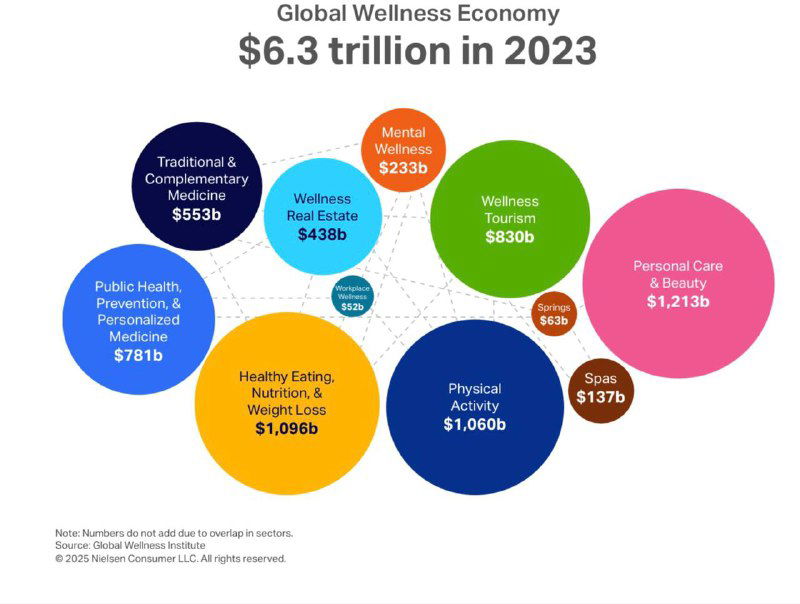 Инфографика глобальной экономики wellness: цветные круги‑пузыри с суммами и названиями сегментов рынка, иллюстрация масштаба индустрии.