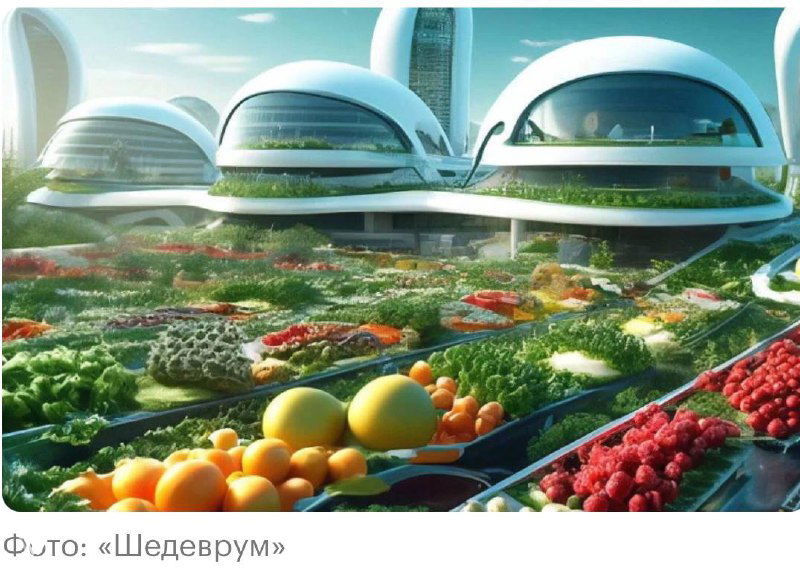 Футуристическая иллюстрация теплиц и грядок с овощами и фруктами на фоне куполообразных строений — символ будущего питания и food‑трендов.