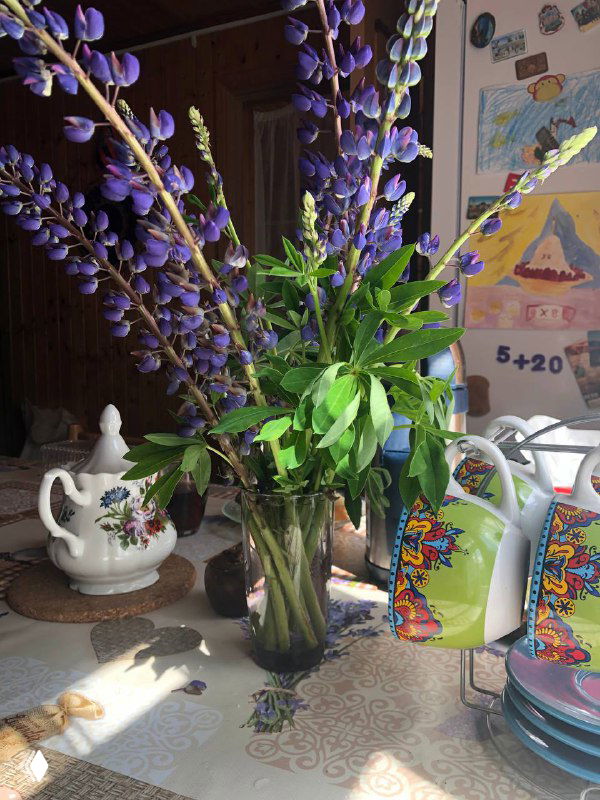 Ваза с высокими сиренево-фиолетовыми люпинами на столе, рядом сервиз и детские рисунки на стене — домашняя уютная сцена в интерьере.