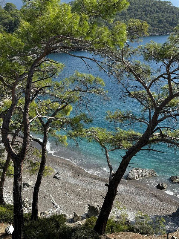Уютный скрытый пляж у подножия скал, окружённый соснами, галечный берег и прозрачная вода — место для уединённого купания вне основных троп.