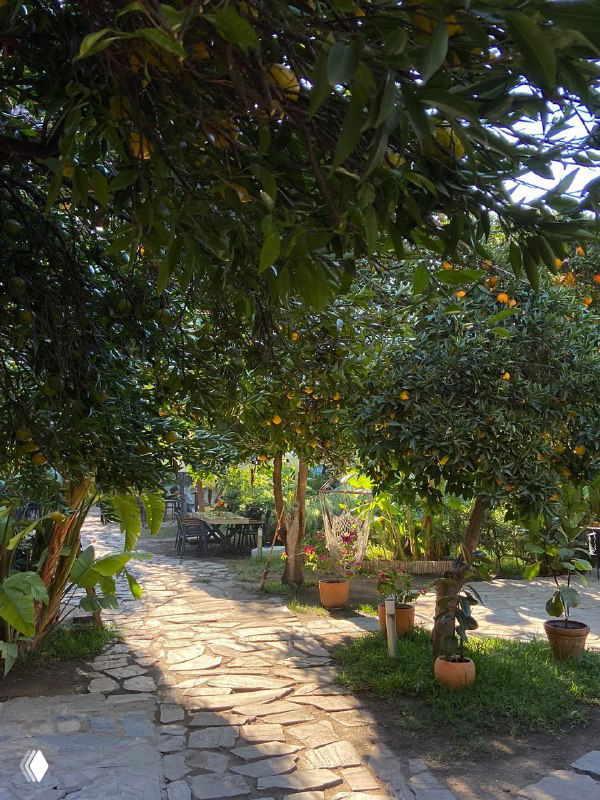 Дорожка в цитрусовом саду бутик‑отеля Casa Sur в старом городе Антальи: тёплый свет, горшечные растения и тенистая аллея для прогулок.