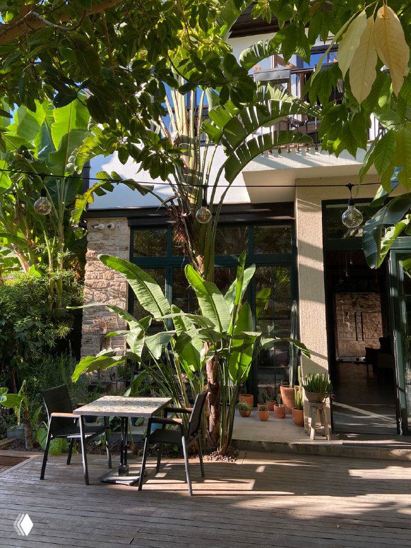 Входная зона и терраса Casa Sur с деревянными столами и тропической растительностью: банановые листья и уютные посадочные места у фасада.