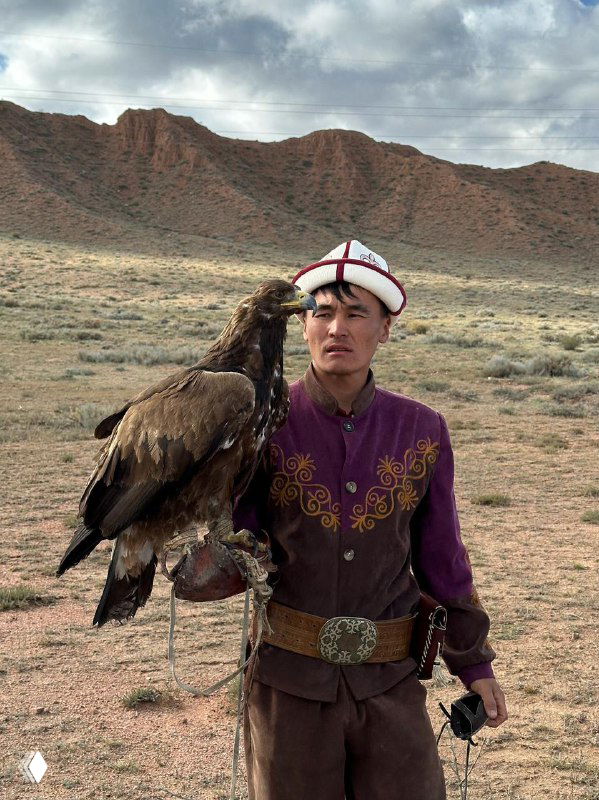 Киргизский охотник в традиционной одежде с большой хищной птицей (беркут) на перчатке на фоне горной степи — культовая сцена местных традиций.