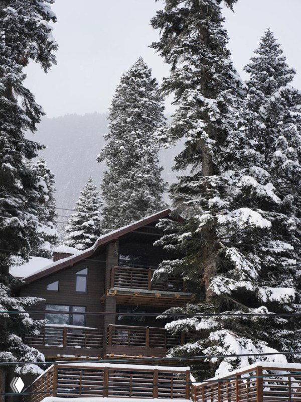 Деревянный горный шале среди высоких хвойных деревьев, покрытых свежим снежным покровом, фасад с балконами и террасой.