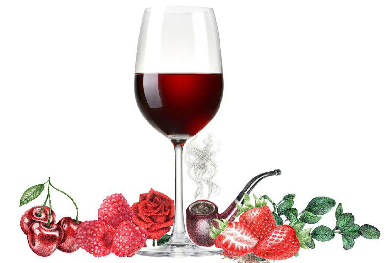 Что нужно знать о Barolo?