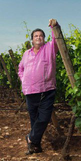 Саша Лишин, владелец Château d'Esclans, в винограднике в розовой рубашке, опирается на столб — портрет винодела на месте, символ историй шато.