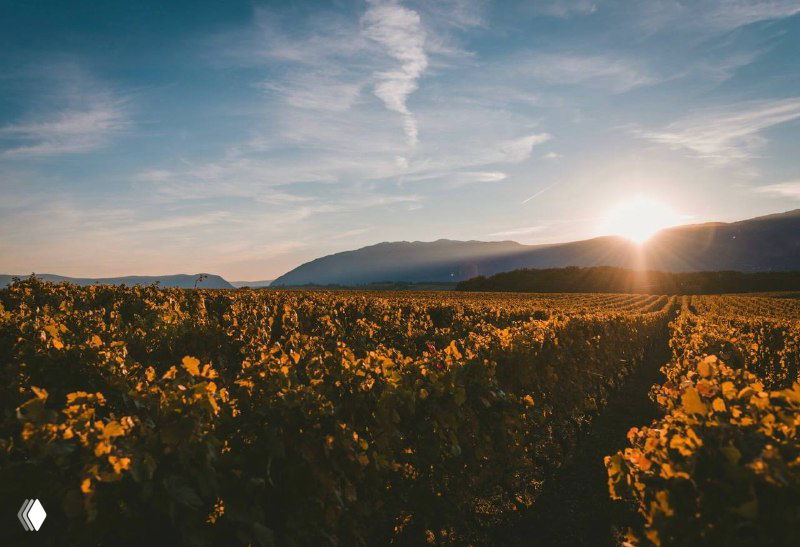 На очереди осенний Крым