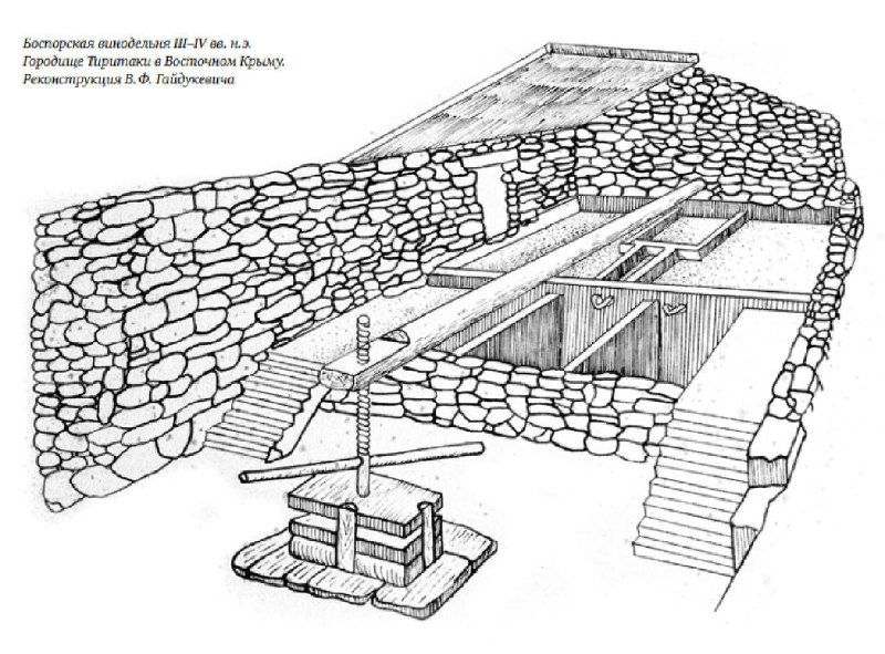 Схематический рисунок древнего винодельческого помещения с винным прессом, амфорами и подпольными ёмкостями для хранения вина.