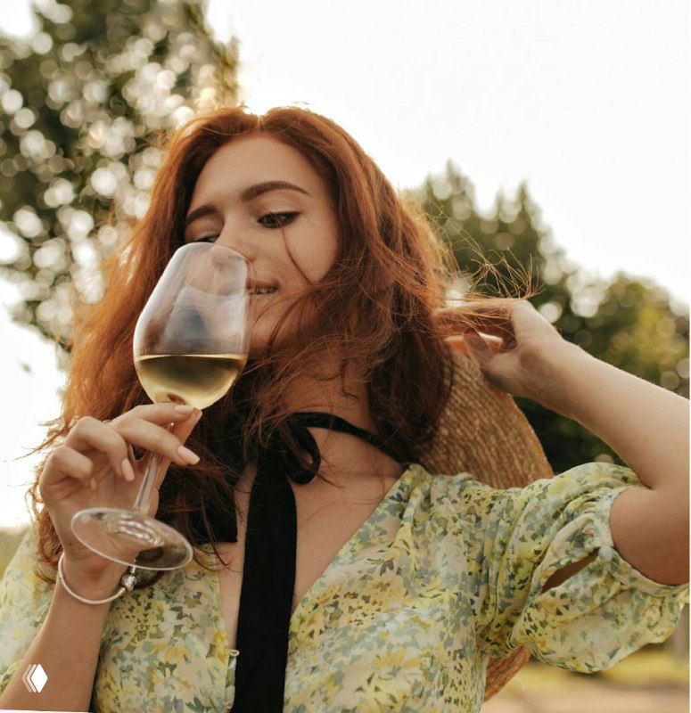 Петербургская школа российского вина «Диалог»