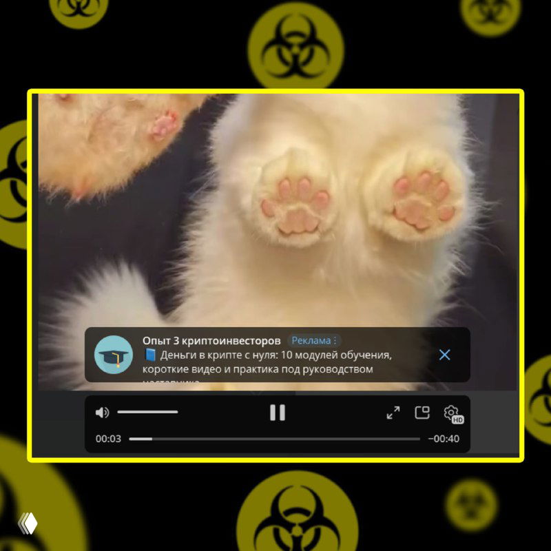 Крупный план превью видео с лапками кота, заметна карточка рекламы Telegram внизу и яркая желтая рамка вокруг превью.