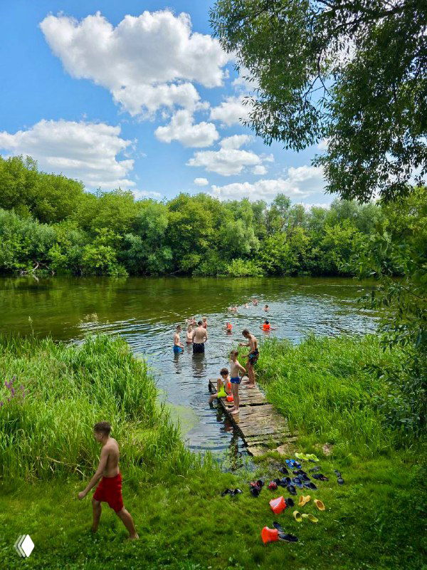 Речка с деревянным мостком, дети купаются и играют у берега в окружении зелёных кустов и леса — летняя активность во время сборов по карате.