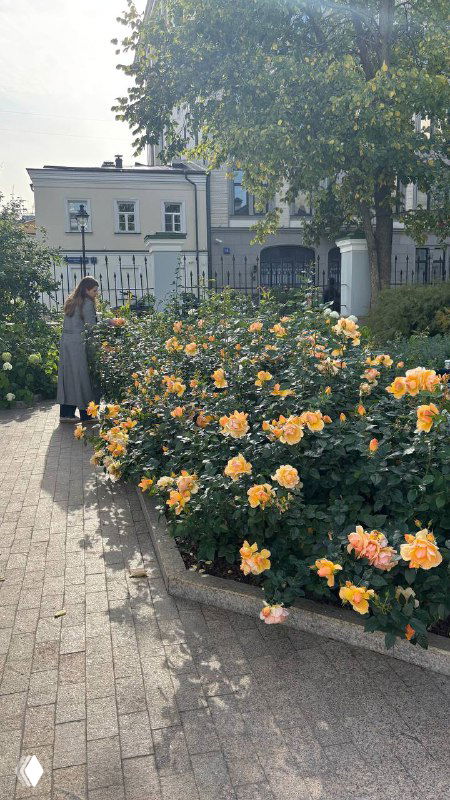 Аллея с жёлтыми цветами и человеком на дорожке: вид парковой зоны у Малой Никитской и окружение кафе с яркими цветочными клумбами.