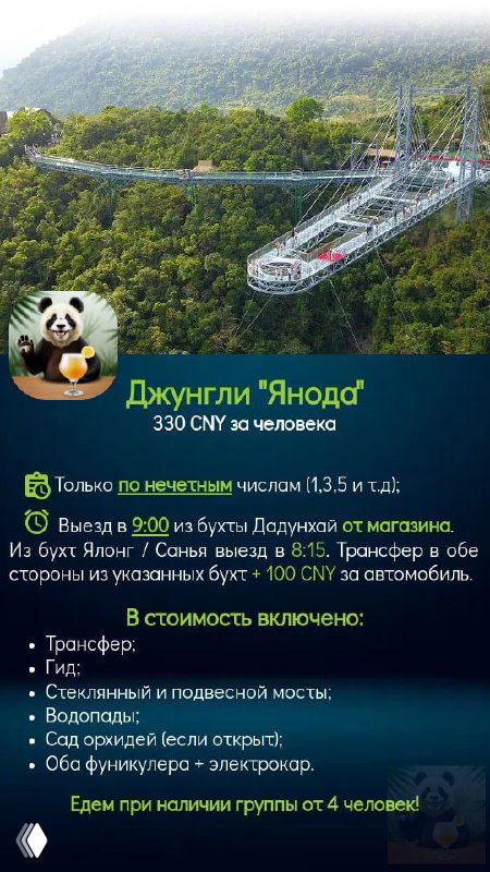 Плакат парка Янода: подвесной мост над зелёной долиной, информационные блоки с ценами, временем работы и условиями посещения.