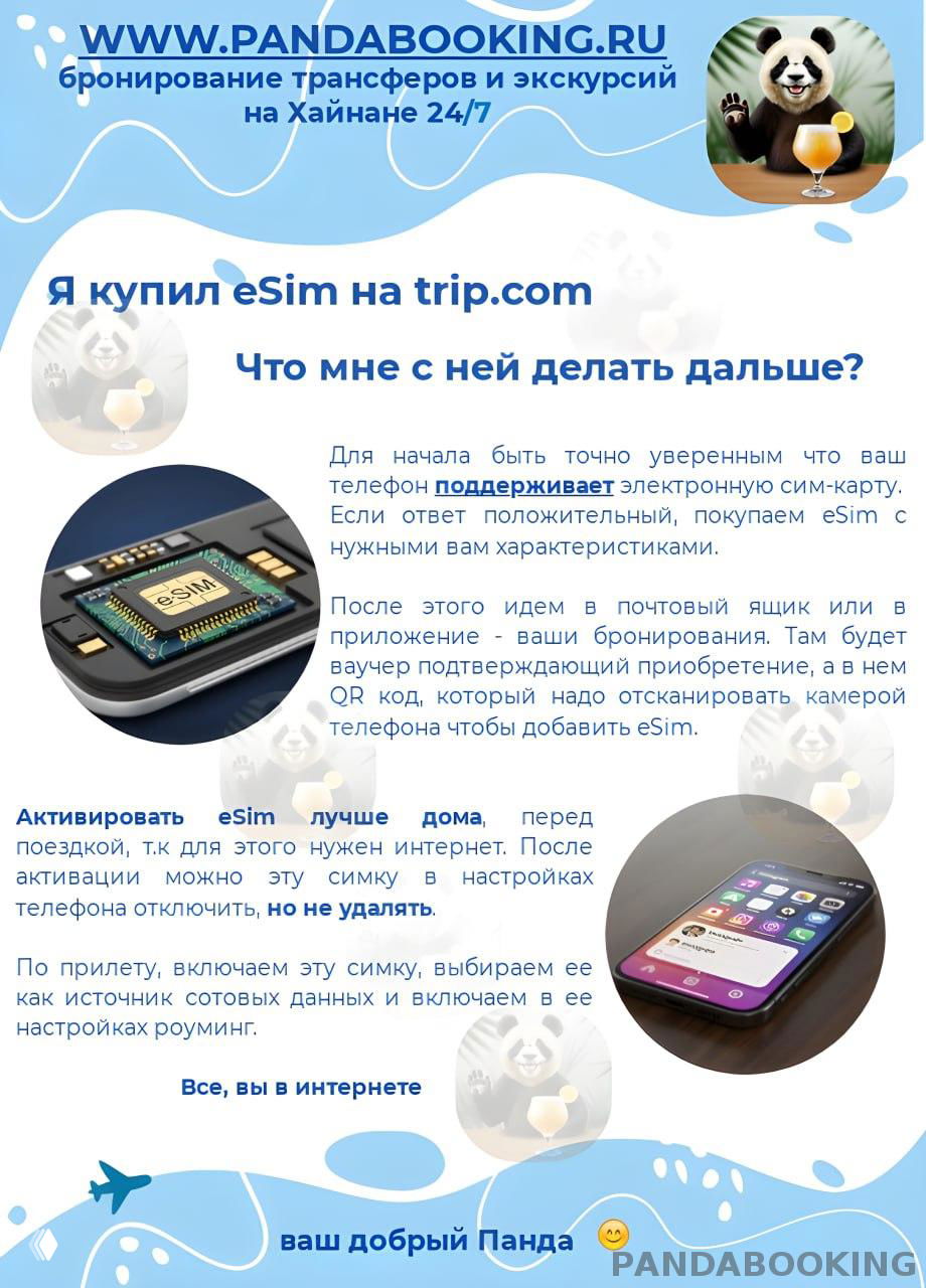 Инфографика Pandabooking: заголовок «Я купил eSim на trip.com», изображение микросхемы eSIM, смартфона и логотипа панды.