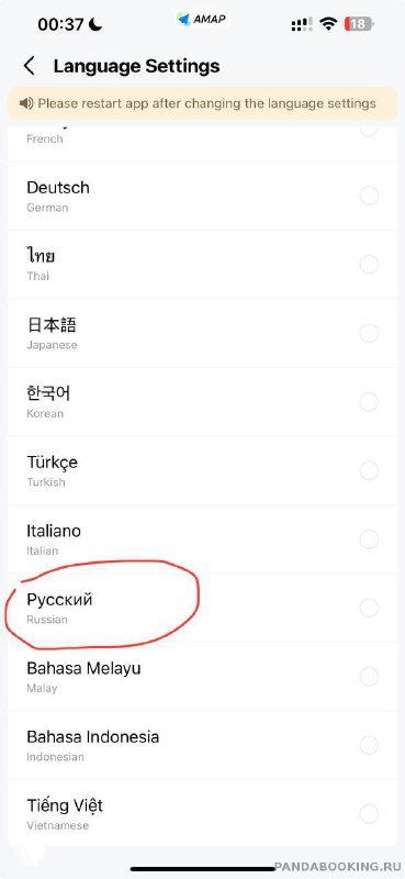Скриншот страницы выбора языка в приложении: в списке языков выделена опция «Русский», что показывает возможность переключить интерфейс на русский язык.