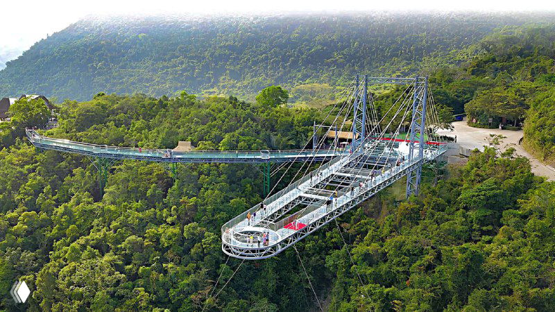 Вид на стеклянный подвесной мост над густым лесом в Хайнане — обзорная перспектива моста и окружающей растительности.