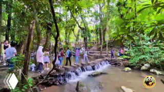 Туристы идут по тропе в тропическом лесу парка Байхуань рядом с небольшими каскадами ручья; видна густая зелень и деревянные ступени.