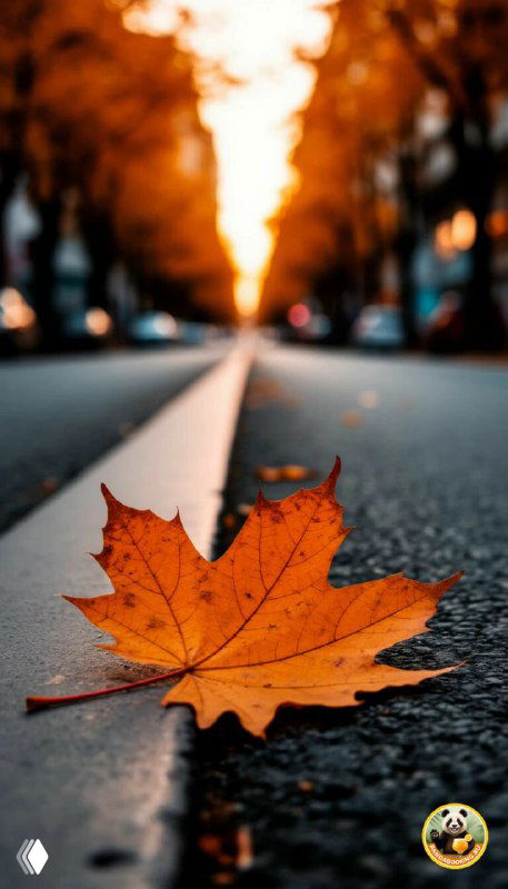 Вертикальные обои: крупный план осеннего листа на асфальте с фокусом на текстуру и мягким размытием улицы, тёплые коричневые и оранжевые оттенки, минималистичная композиция.