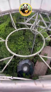 Вид сверху на круговую металлическую конструкцию с фонтаном внизу и густой тропической растительностью вокруг.