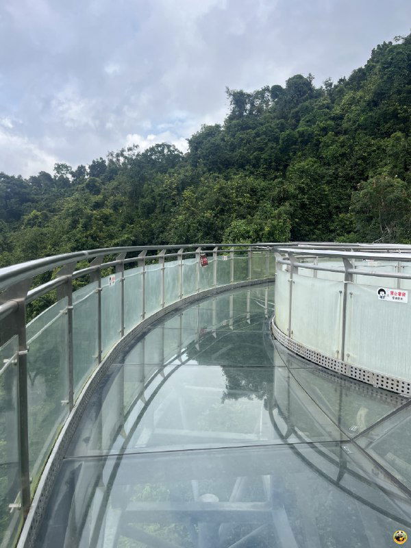 Изогнутый стеклянный мост над тропическим склоном, прозрачный настил и ограждения, вид на лесистый склон и небо.