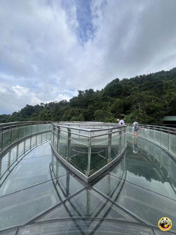 Панорамная смотровая площадка со стеклянным полом в форме треугольника и отражениями, окружённая густой зеленью.