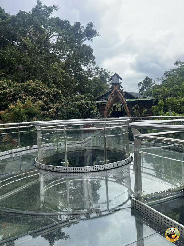 Круглая стеклянная платформа с перилами и небольшой деревянной постройкой на заднем плане, окружённая тропическими деревьями.