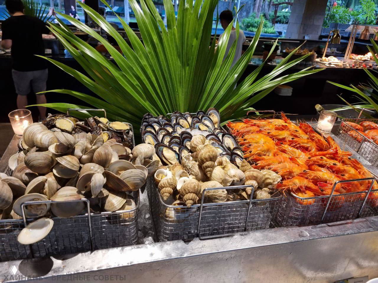 Корзины с моллюсками, мидиями, ракушками и крупными креветками, аккуратно выложенные на льду у морепродуктовой витрины шведского стола отеля Pullman Oceanview Sanya Bay Resort.