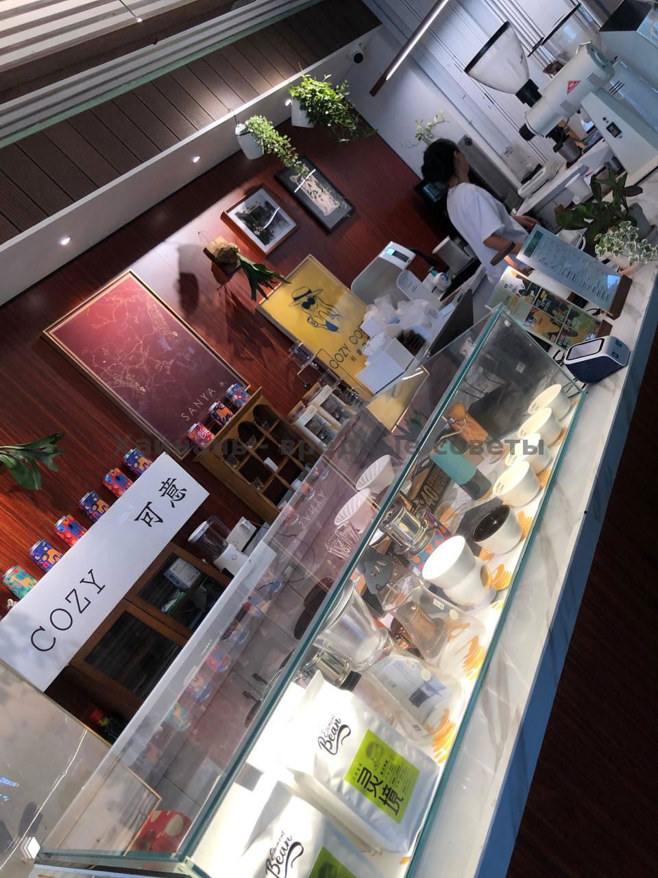 Барная стойка и витрина в кофейне Cozy Coffee: чашки, упаковки кофе и разнообразные аксессуары на прилавке, интерьер с деревянной отделкой.