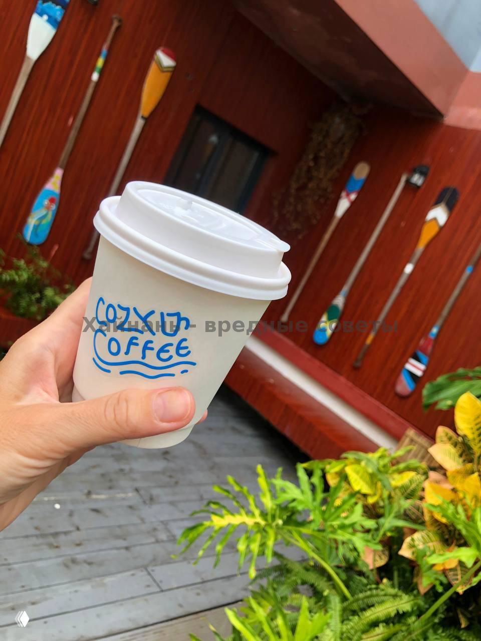 Стакан с кофе навынос с надписью Cozy Coffee в руке автора на фоне деревянной стены и растительности у входа в кафе — снимок на улице у кафе.