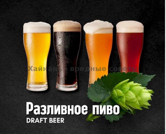 Разливное пиво: изображение нескольких пивных бокалов и хмеля, визуальное оформление раздела «Разливное пиво» в меню бара Freegen.