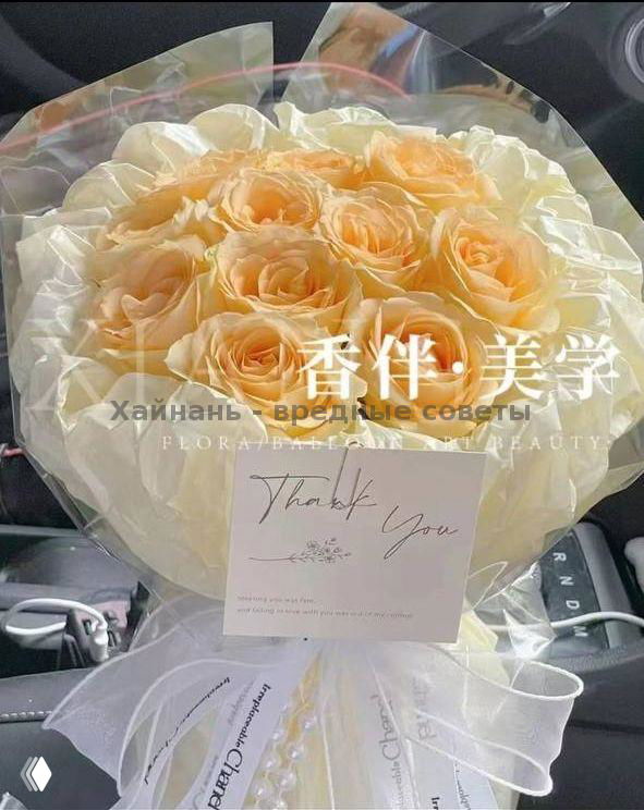 Букет кремово-абрикосовых роз с карточкой «Thank you», упакован в прозрачную и декоративную бумагу, фото сделано в салоне автомобиля, подчёркивая доставку.