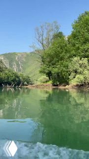 Съёмка с моторной лодки: зелёная река, прибрежные деревья и отражения воды, кадр в движении по течению.