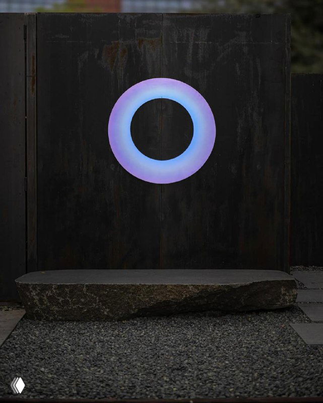 Круглый светящийся орнамент в тёмной стене — кольцевой световой элемент инсталляции Лахлана Турчана, контрастный ночной образ.