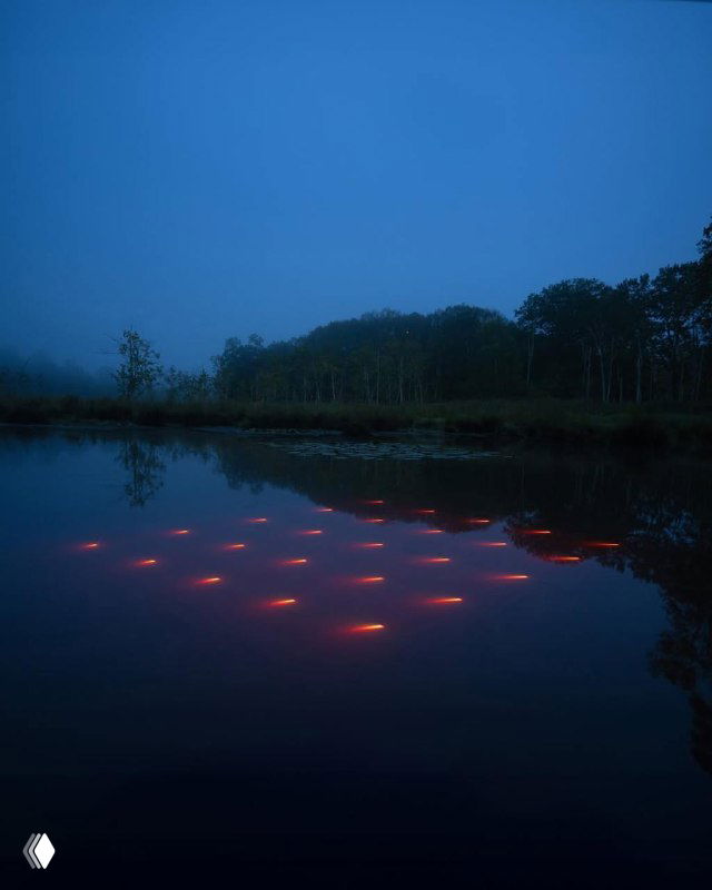 Тёмный водоём с рядом мелких красных точек света под поверхностью — вибрационно-световой эффект в работах Лахлана Турчана.