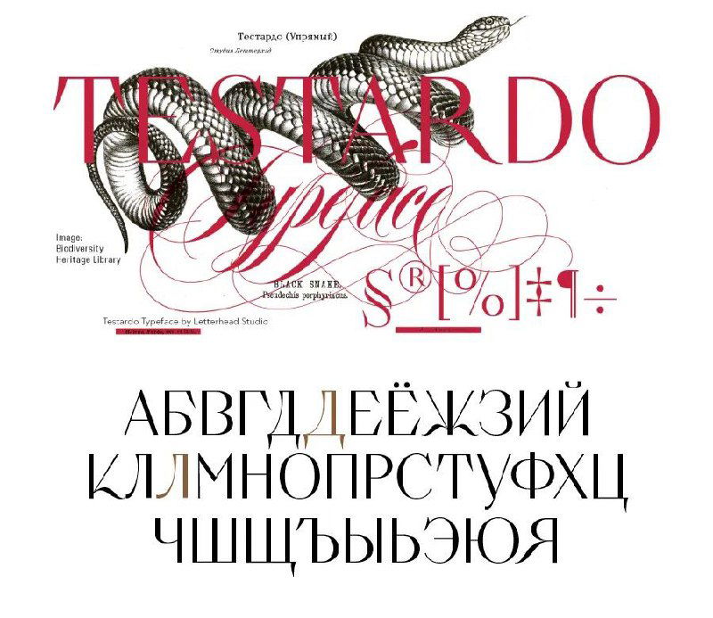 Образец шрифта Testardo: декоративный заголовок с извилистыми титульными элементами и таблица кириллических прописных и строчных букв для демонстрации форм.