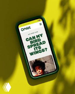 Мокап мобильного сайта Omlet на смартфоне с зелёными и жёлтыми акцентами, заголовком про птиц и реалистичной тенью для демонстрации адаптивного дизайна