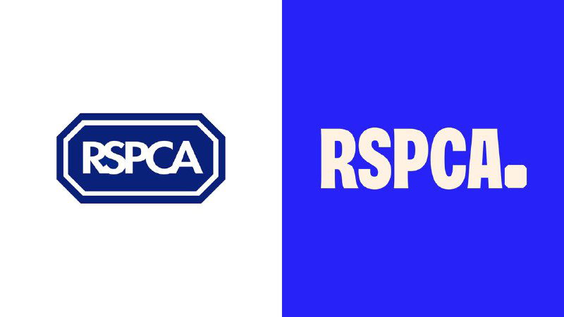 Два варианта логотипа RSPCA на белом и насыщенно‑синем фоне, показ нового шрифта и простого знака в фирменной палитре бренда.
