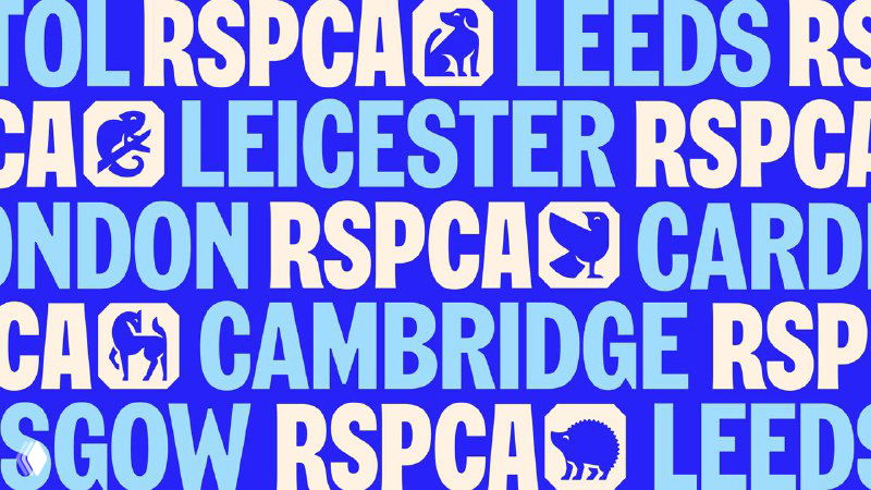 Плиточный фон с крупными надписями RSPCA и вкраплениями иконок животных, демонстрация масштабного типографского ритма и цвета.