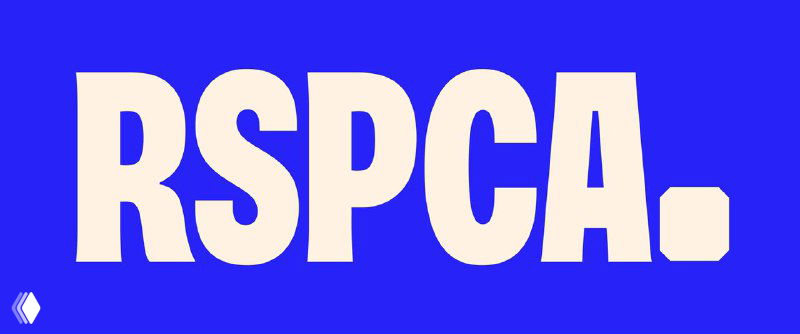 Крупный текстовый блок RSPCA на синем фоне, иллюстрация работы шрифта и композиционных приёмов с точкой в логотипе организации.