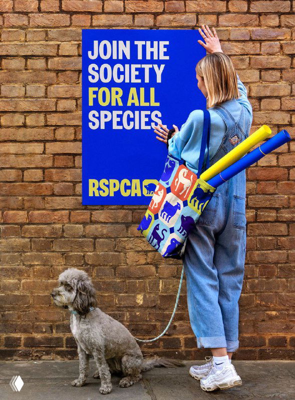 Человек с сумкой и постером RSPCA, собака у стены — практическое применение фирменной графики в носителях, мерчендайзинге и городской среде.