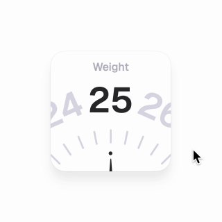 Небольшой UI-блок «Weight» с крупной цифрой 25 и вращающимся циферблатом; пример микровзаимодействия контролла в интерфейсе.