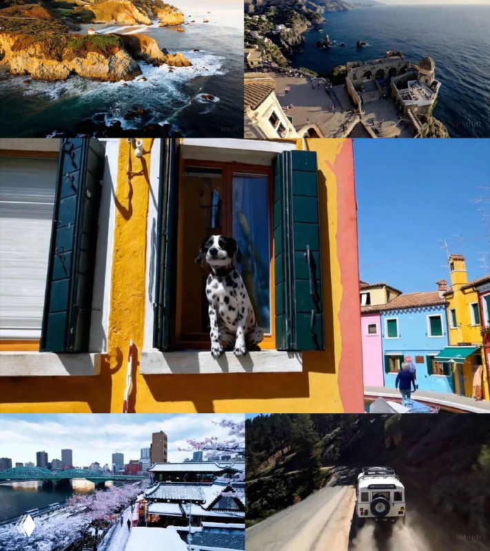 Кадровый коллаж: фрагменты видео — побережье и скалы, вид с высоты, собака в окне, яркие разноцветные дома, внедорожник.