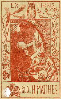 Красно-коричневый экслибрис с декоративной композицией и текстовой полосой «EX LIBRIS», пример типографского и графического решения книжного знака.