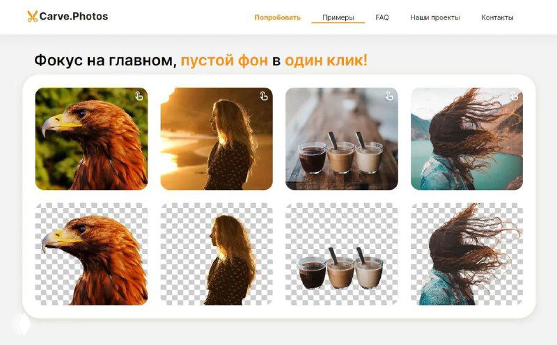 Скриншот интерфейса Carve Photos: примеры удаления фона у разных снимков — орёл, портрет, чашки и развевающиеся волосы на прозрачном фоне, демонстрация результатов