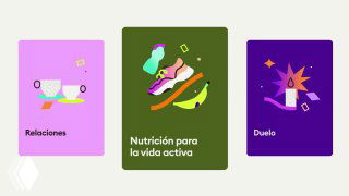 Карточки разделов айдентики Viva: яркие прямоугольные карты «Отношения», «Питание», «Горе» с иконками и минималистичными иллюстрациями, выдержанный визуальный язык бренда.