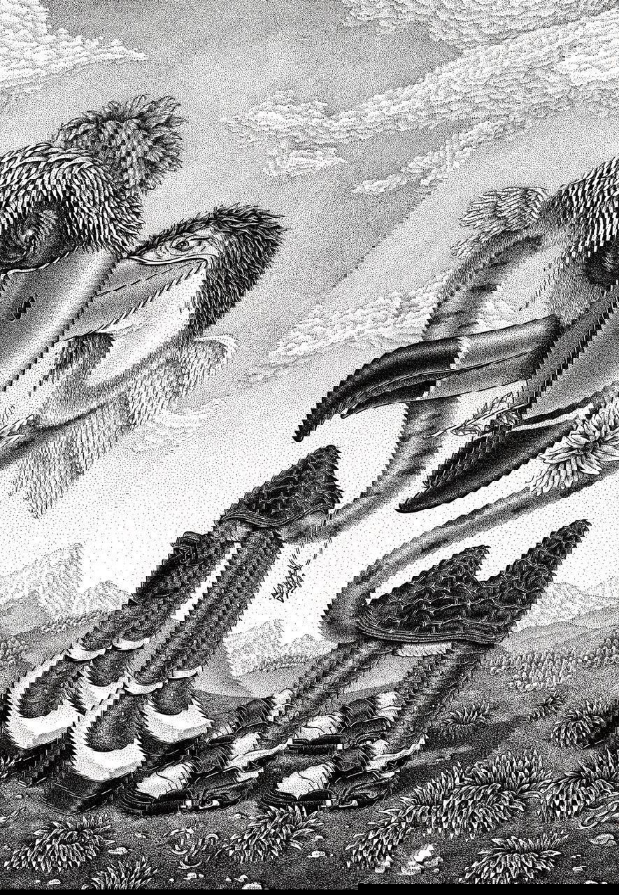 Детализированная графика: крупный план двух причудливых птиц с нетипичными ногами и обувью, выполненный в технике ручной штриховки и пуантилизма.