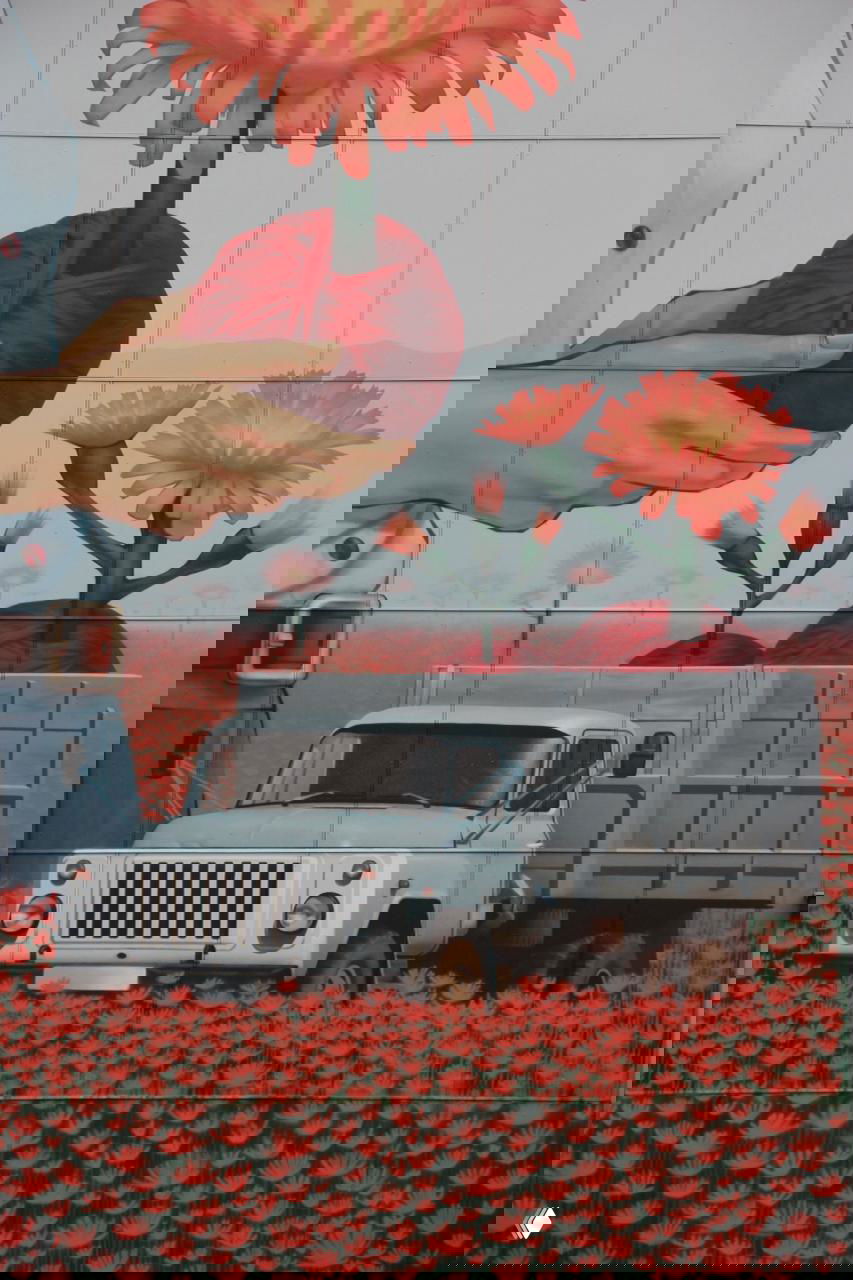 Крупный план рук и белого цветка с оранжевой сердцевиной на текстуре стены — детализированная живописная поверхность и тонкая работа кистью.